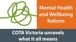 Mental health and wellbeing reform: unravelling the mystery preview image
